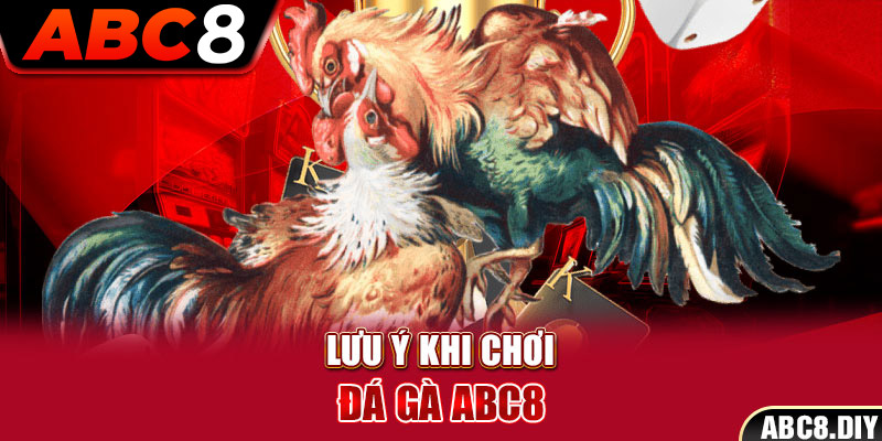 Lưu ý khi chơi đá gà ABC8